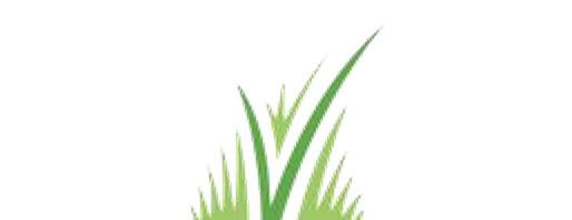 Carver Brothers Turf brand mark